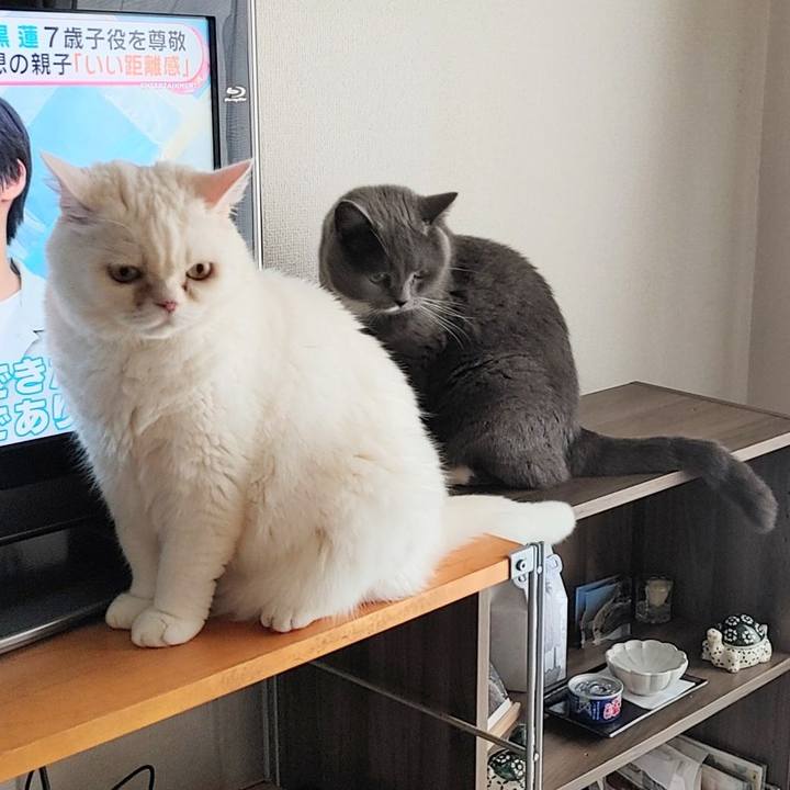 538a25f0 dd78 4be0 9e88 80d6dafe5617 1719614592226