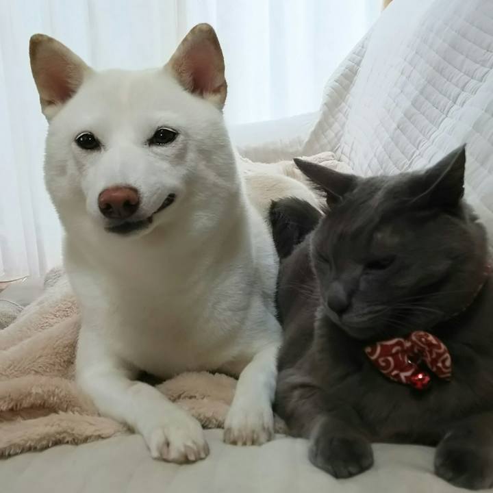 538a4b30 6a90 483a 9611 5f1521664332 1536020209524