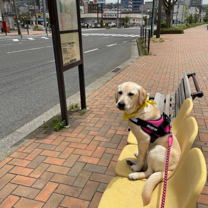 538a8bc9 da4e 43d5 9ec1 2e7fa4146be5 1621920921248