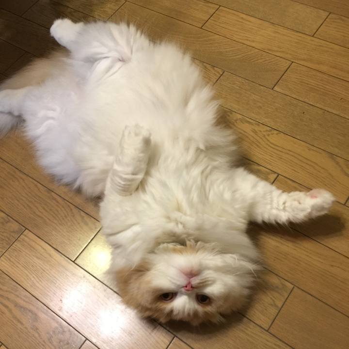 538aefd2 137f 49d8 be36 5e91091317b6 1530019597166