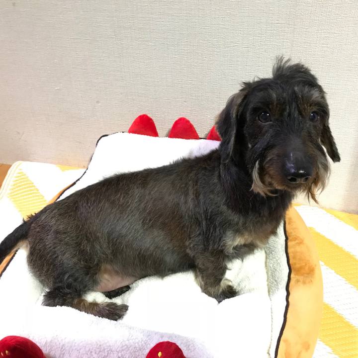 538b1409 4e92 44fc 91ea 35c7d2d330ce 1514124830266