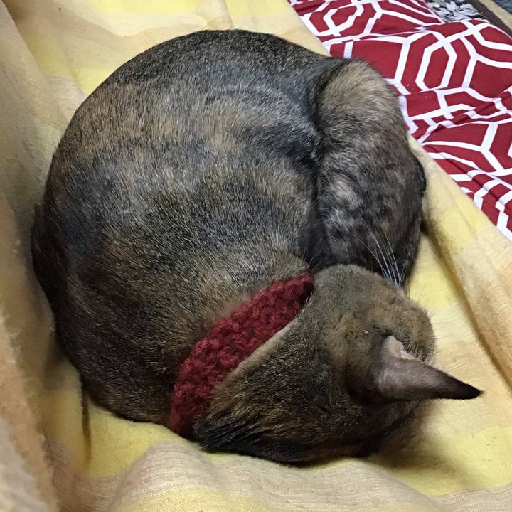 538b1c53 8296 4c26 b27c a6722188c96c 1639453711133