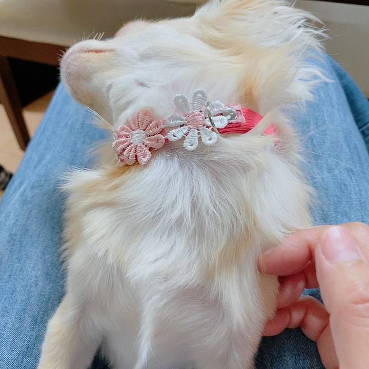 538ba5a3 63e3 4968 bdd6 9b11e64db197 1613998660723