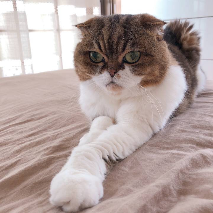 538ba5eb 64eb 428a 8896 2e59b7d1afff 1592708388497