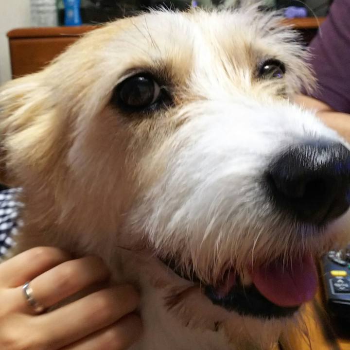 538ba6a3 6c9d 4c2b aa6d 486b0dac4cea 1531644905120