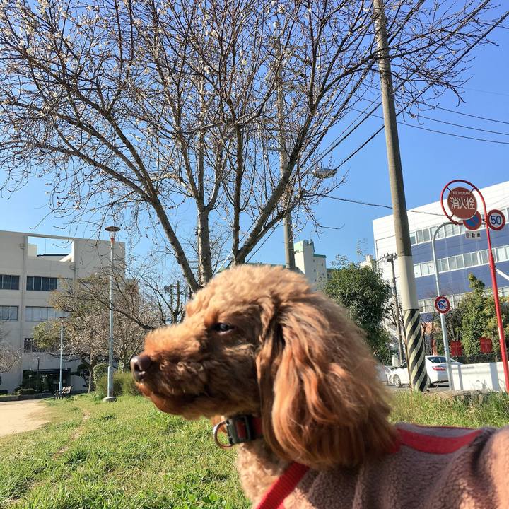 538bd20e 6d9d 4570 9fea 93fc1b7cc89b 1520395277365