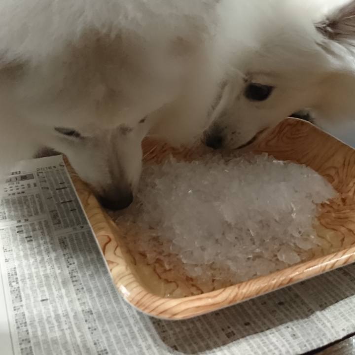 538bdf4f a847 4c22 919b 65890df00ada 1570189511742