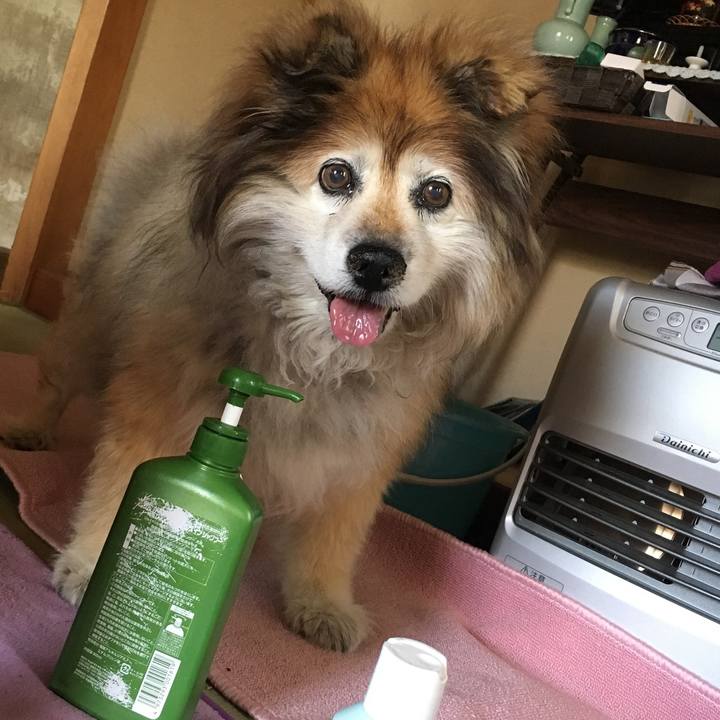 538bebac 5718 4af7 acaa 0eefa97d4366 1562728561222