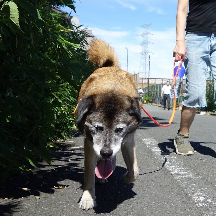 538c681b 29f7 4244 af95 a75024e26b99 1530320645465