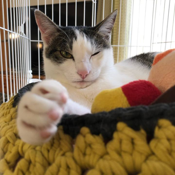 538c6ede 6af7 4ebc 837b ecbe465ee232 1588841914052