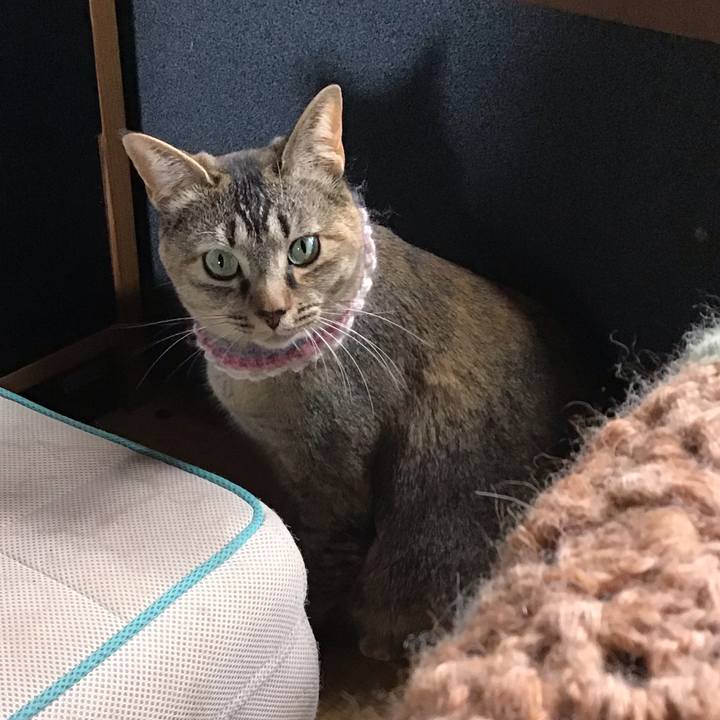 538c9ff4 9eef 4f89 ba02 1aa29c99eaa7 1620546890259