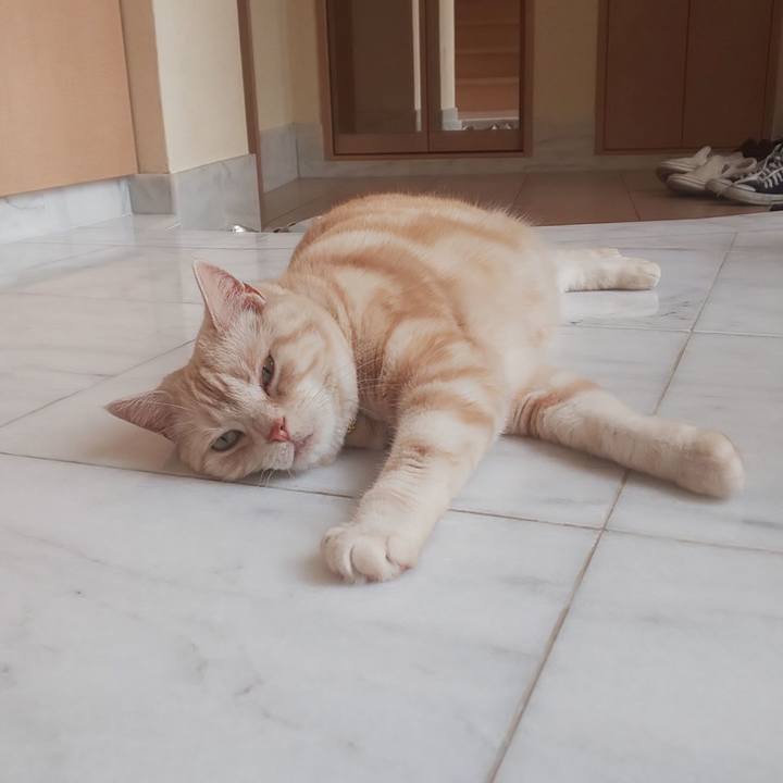 538cb164 8aab 4a94 ba9e 0ca59026afbc 1559002147362