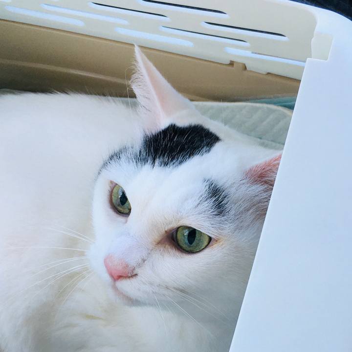 538cfde6 08d5 475a a9da dacde3280613 1601713376364