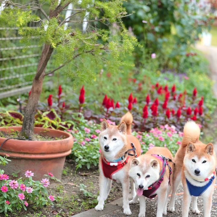 538d0c05 54a8 4201 87cf 68e63cbea3b9 1761320733374