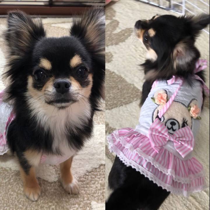 538d1c44 dcd5 4797 915e df159f437056 1555038272059