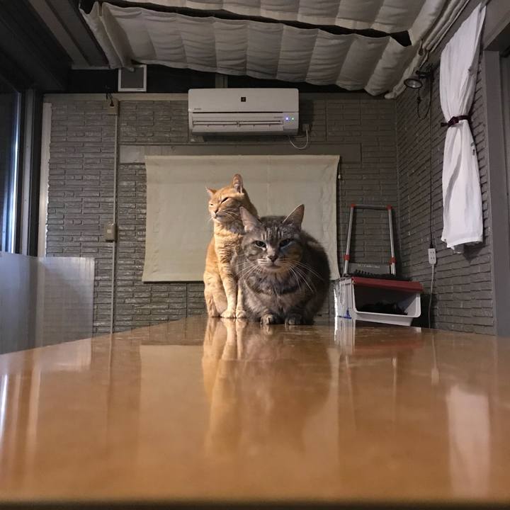 538d3020 78d9 40eb b875 1ec4ecfddddc 1523184634251