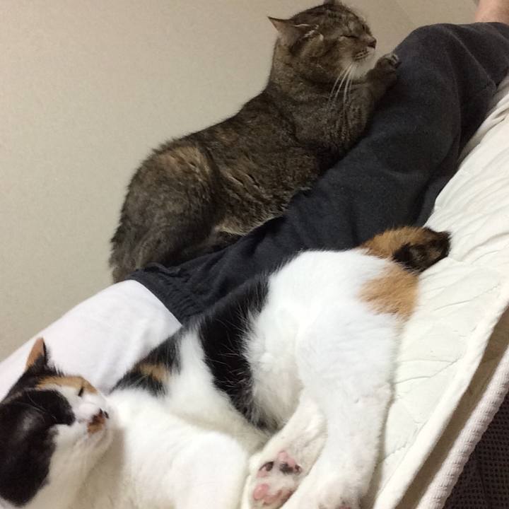 538d5e11 7492 4df0 8fdc e9299882f73c 1600740892589