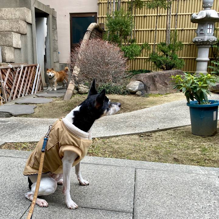 538d6f33 899c 451d 9c70 8f9088b87ae5 1578820428025