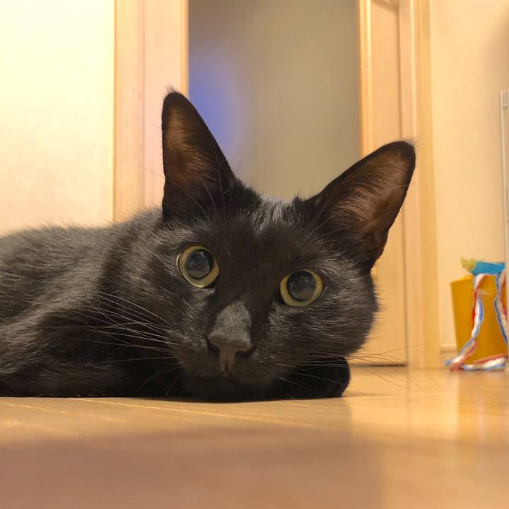 538d907f 0420 4fb0 b434 d382ba8e7f23 1517321517263