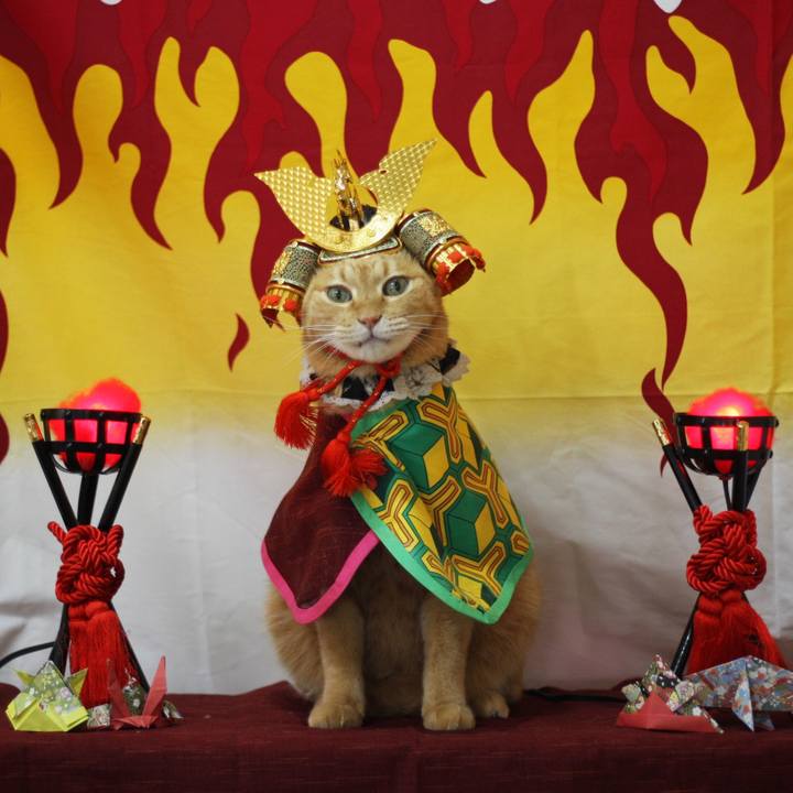 538dbb88 2596 444d 9a8d f5a0f4c4ec42 1620461771093