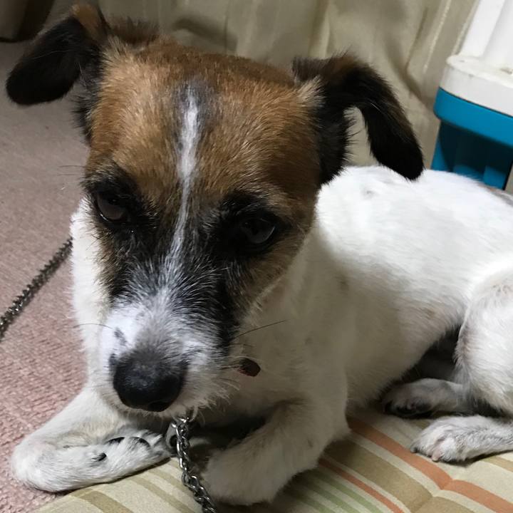 538dce7a 2a5d 49fb 8b1b 971d783290c3 1537352265652