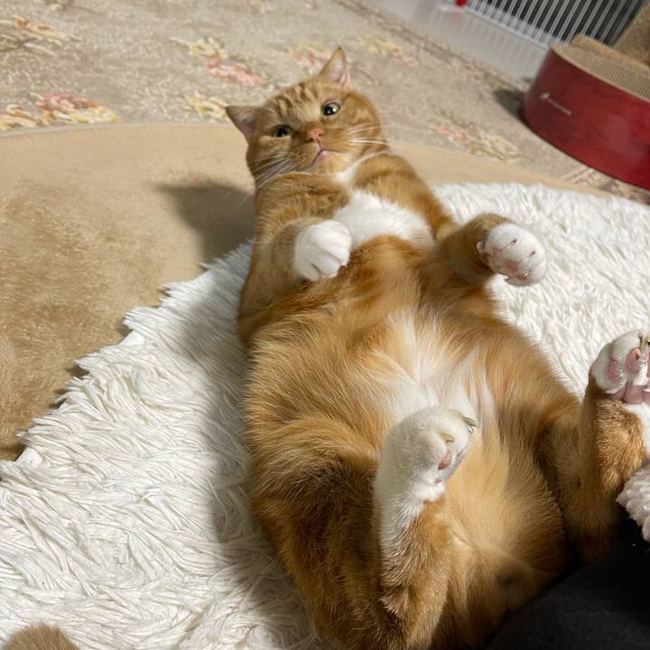 538df704 8db8 4c94 bc94 e38d04c84f1e 1638187604154