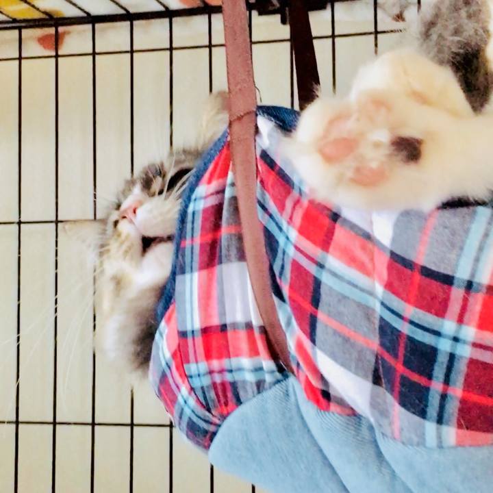 538e18f7 c361 4469 8c61 638a2811d1d8 1509039479649