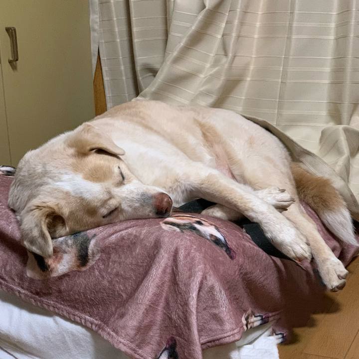 538e4ab7 3797 4ce9 ac73 2f97b1cc40fe 1612265393439