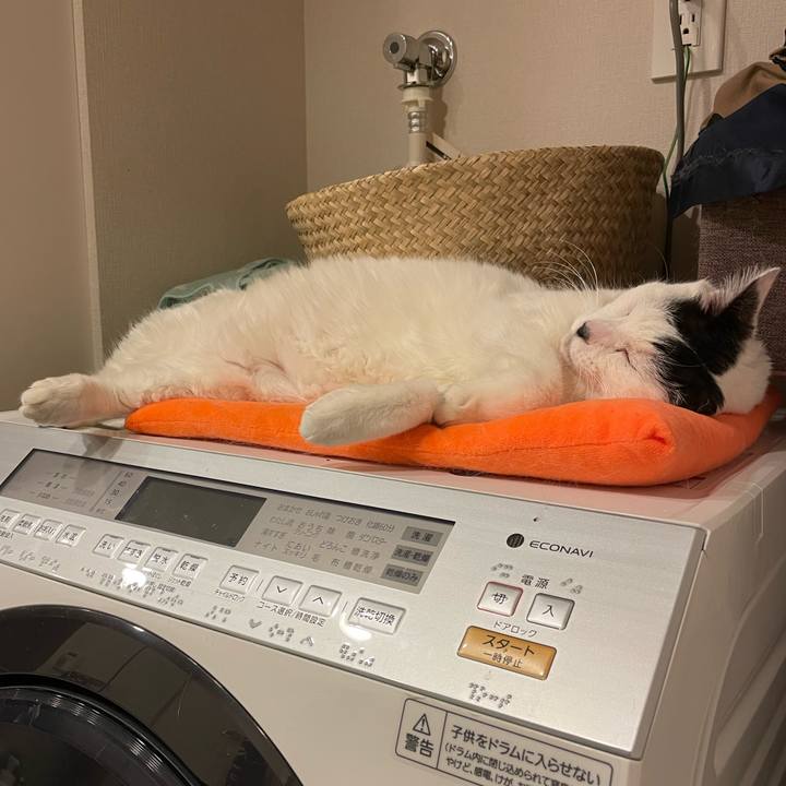 538e8aac 114c 4c2a 997f 1773c5f0b105 1736206504070