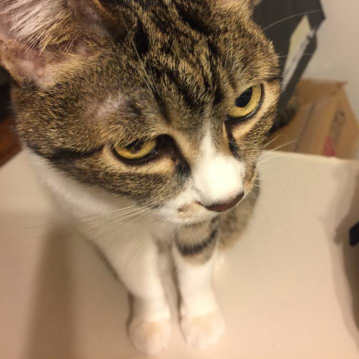 538ea4c8 69a5 4a47 bc74 43cd790dcaf5 1549206327053