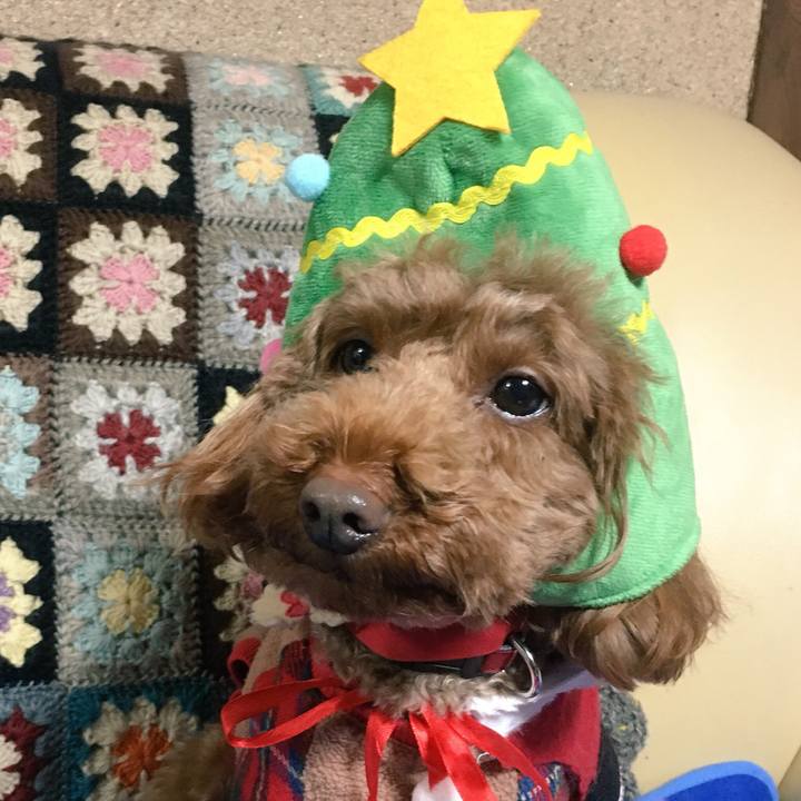 538ef8ca dd87 475c 8e8a 02d73920192c 1511323375662