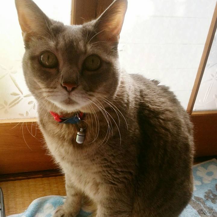 538f0448 fa3a 442d 91ac a1665b5219d6 1516243404020