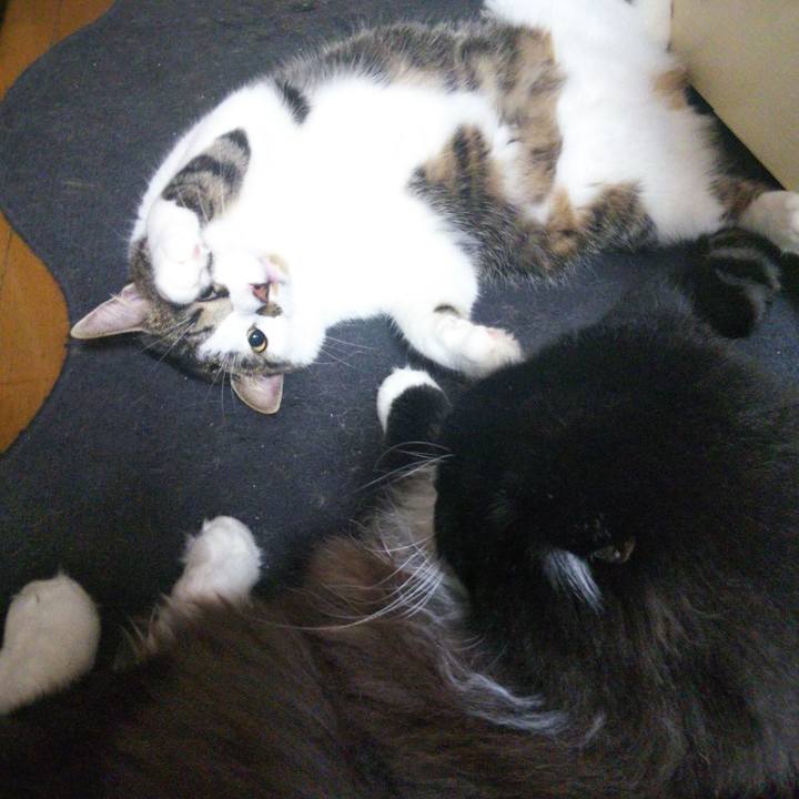 538f04c1 c4fc 45e9 9315 133fd79c36da 1659194526090