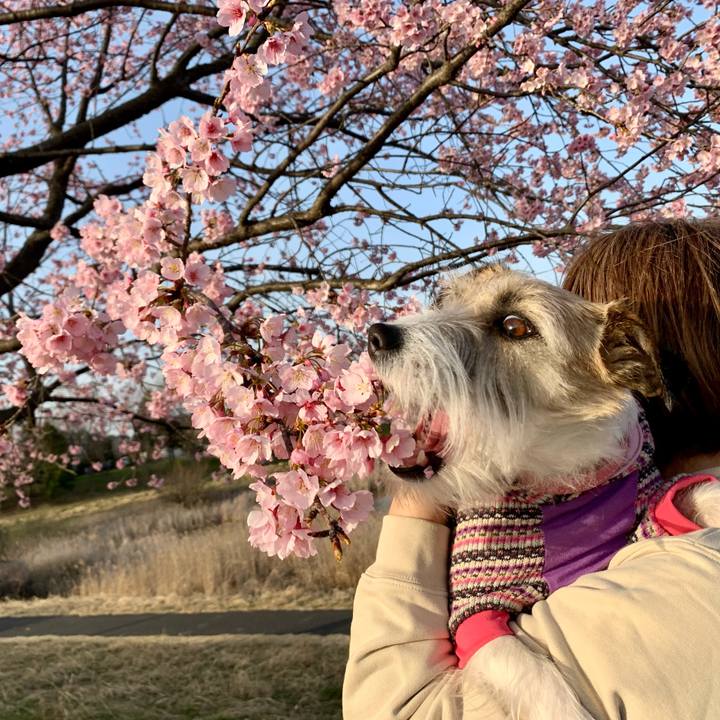 538f1042 61da 4d99 ae0a 67bd37ecf19f 1678535178502