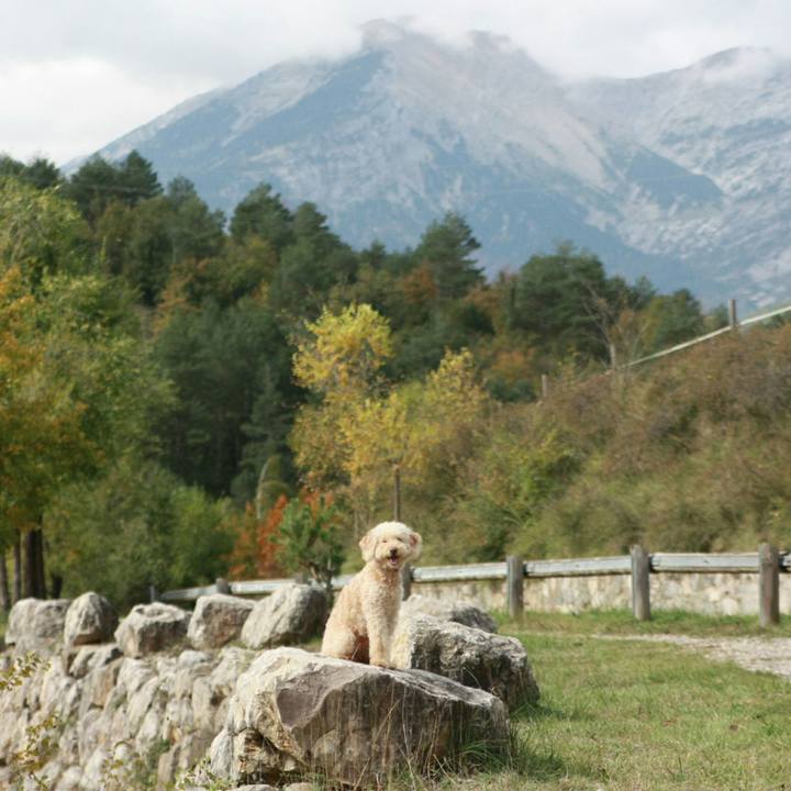 538f18d4 253c 46d4 8566 0951200c7867 1540189810446