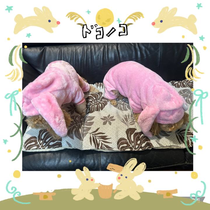 538f2998 ccba 46eb 80fa 0427366f103e 1726869059321