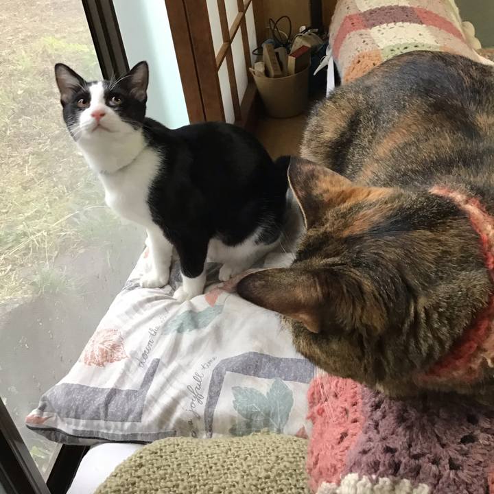 538f4b00 25d8 49e2 9a7b 1b26f9a77772 1633074101905