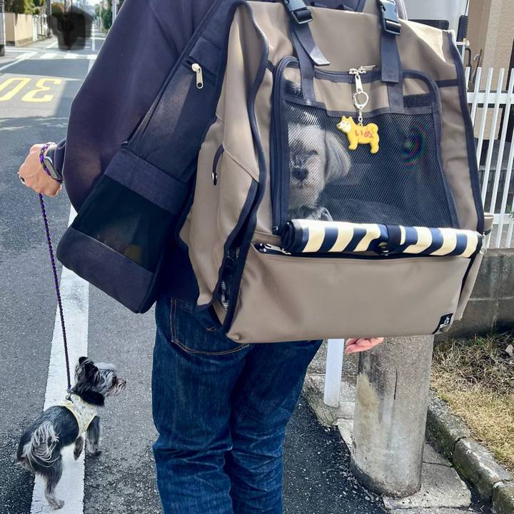 538f50ba b049 4b7a 9d35 3fbe8a4c12a9 1774574122021