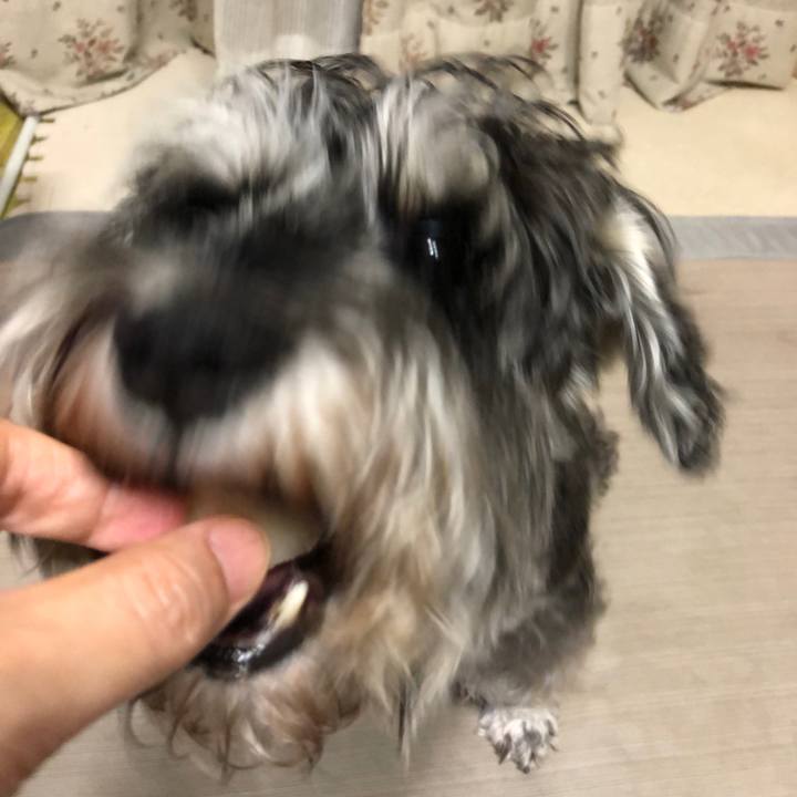 538f729d d2dc 4695 b1e0 a05c98f7890b 1630502400880