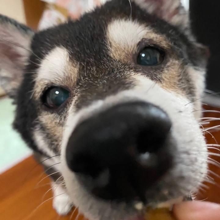 538fc1ab 458d 421c af47 bc19282d4a65 1668054774641