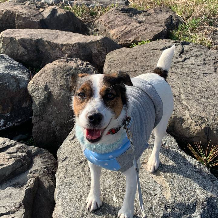 538fc3e2 bb6d 4a12 bfdb c1c7434d44bf 1577503751751