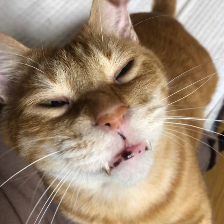 538fcae9 25eb 4001 ad07 27777fc7fbe4 1602686926186