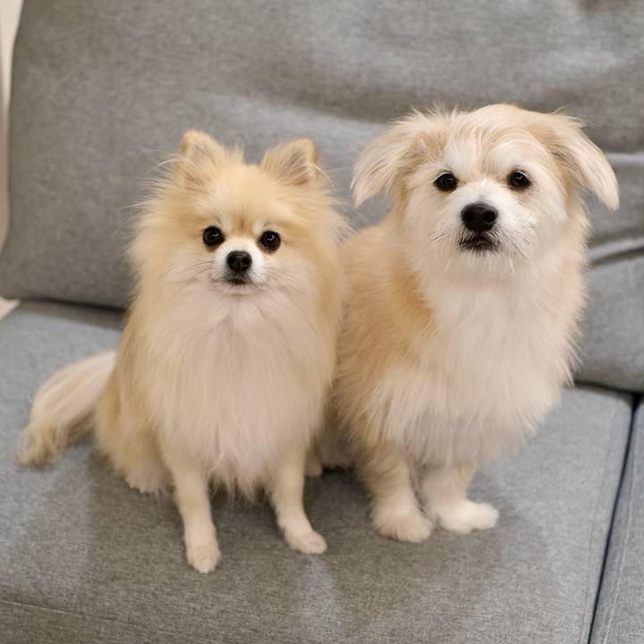 53901661 1b59 4a56 8451 de6e851cb192 1765145494963