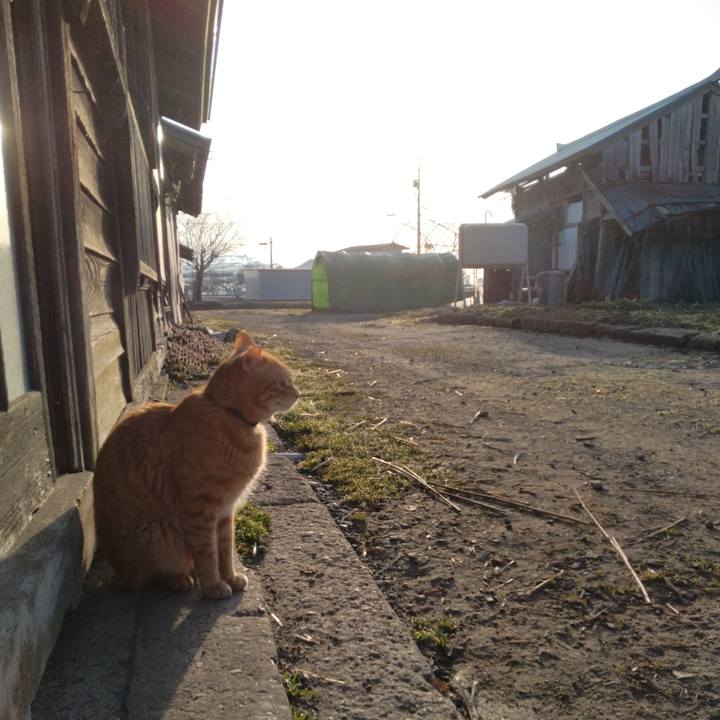 53901fda 1b03 4799 a67d 02f5b3936db3 1679525419022