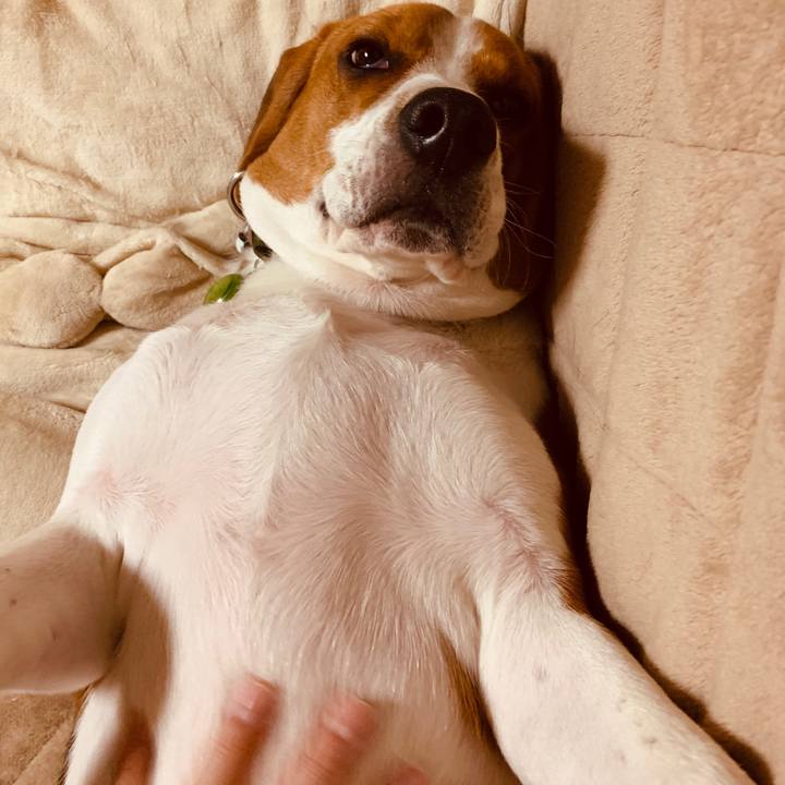 539028ad ec6e 4a00 827f 87b85030b4cb 1551448853663