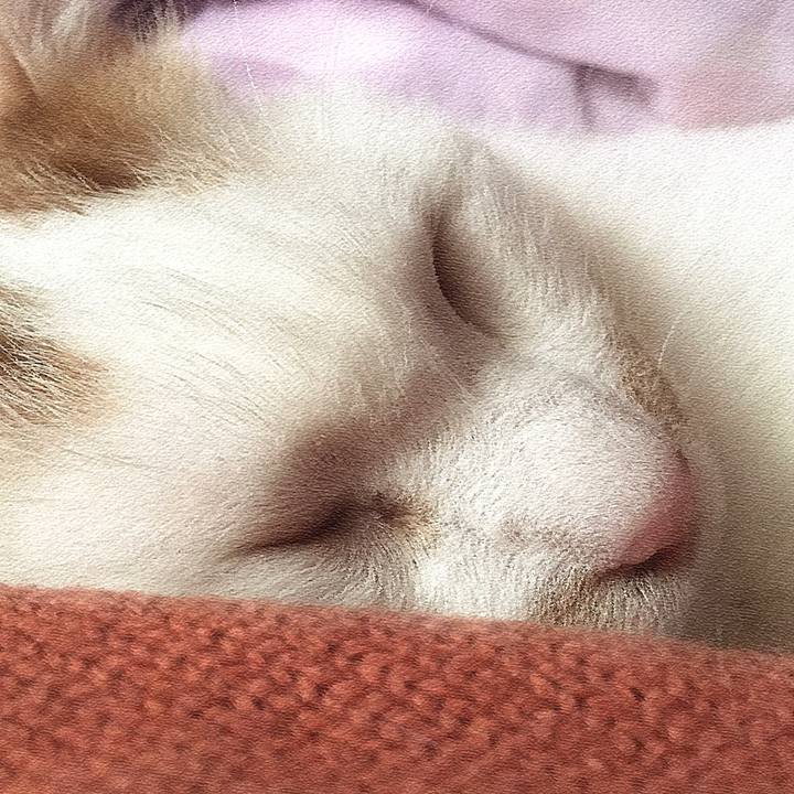 539046f7 0551 4239 a636 0d6ce80b9342 1571535859825