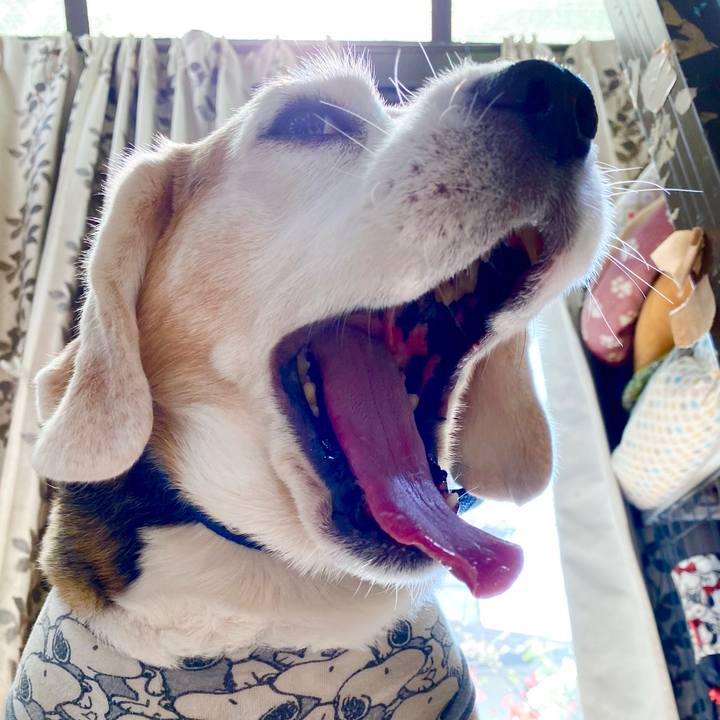 539096a2 b063 45d7 97b3 009444d36c9b 1617335106061