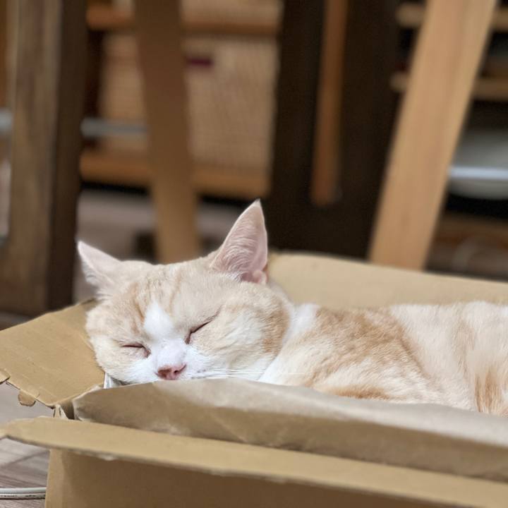 5390be29 cdda 4186 9c84 8a8ae3c1639c 1762465502252