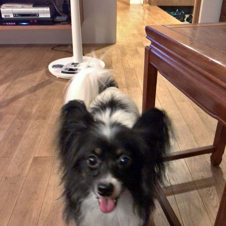 5390cf7c ca41 4897 a1b3 91f7423e7b50 1533902964902