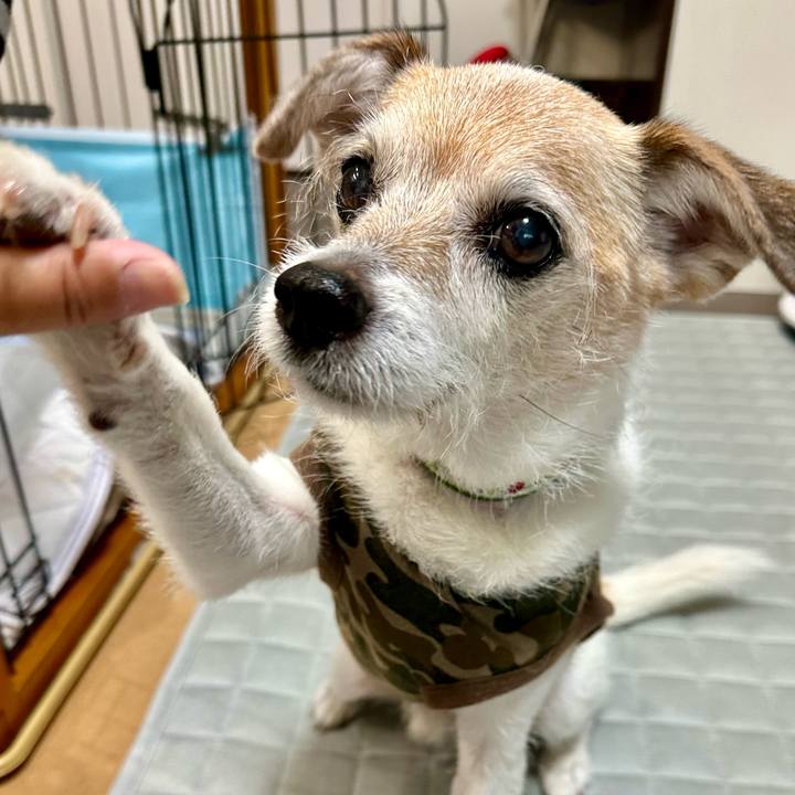 5390df7c d7c9 4b26 8367 545d33fdfde2 1719103510643